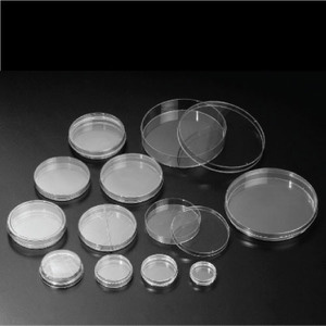 -Ҹǰ-Ʈ(Petri dish), 500ea/box-Ʈ(Petri dish), 500ea/box